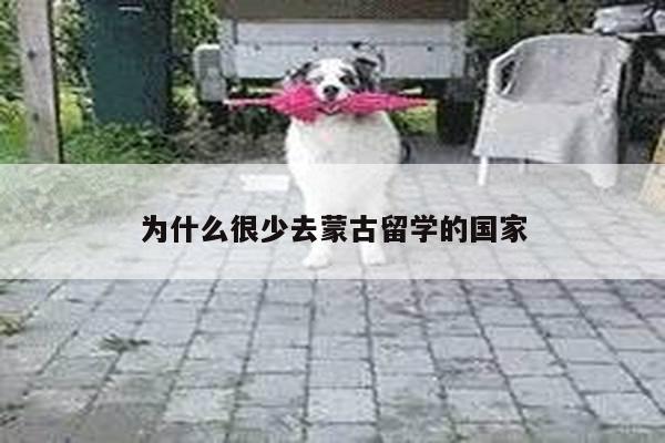 为什么很少去蒙古留学的国家