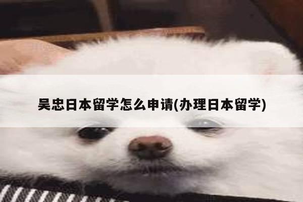 吴忠日本留学怎么申请(办理日本留学)