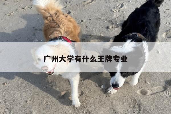 广州大学有什么王牌专业