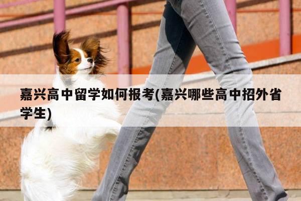 嘉兴高中留学如何报考(嘉兴哪些高中招外省学生)