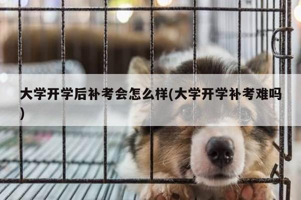 大学开学后补考会怎么样(大学开学补考难吗)
