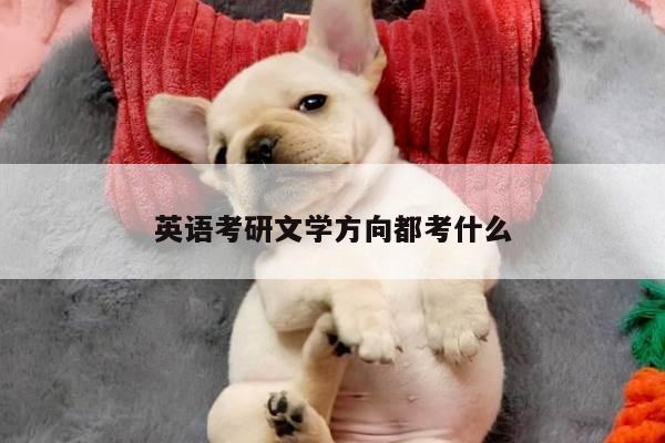 英语考研文学方向都考什么