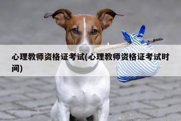 心理教师资格证考试(心理教师资格证考试时间)