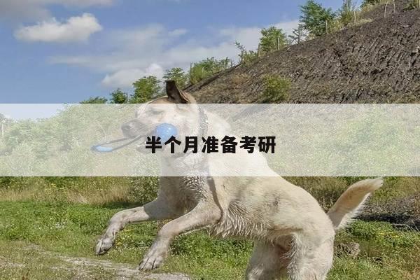 半个月准备考研