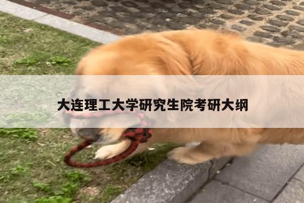 大连理工大学研究生院考研大纲