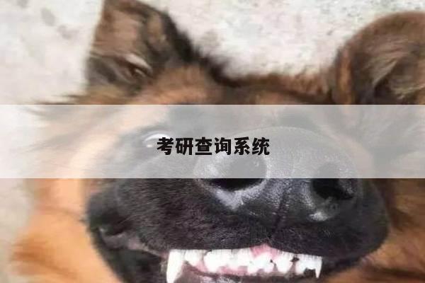 考研查询系统