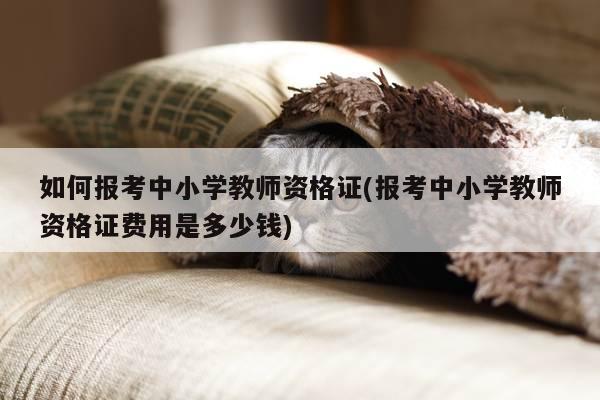 如何报考中小学教师资格证(报考中小学教师资格证费用是多少钱)