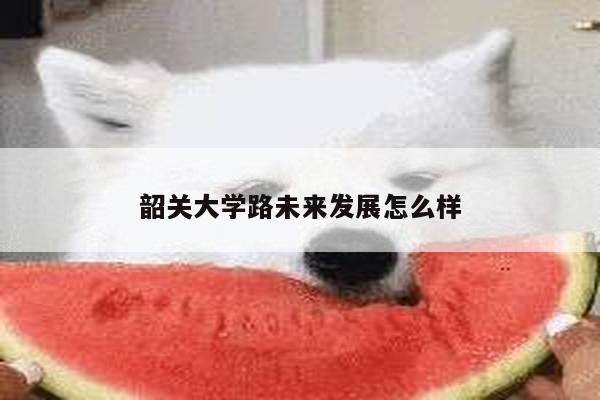 韶关大学路未来发展怎么样