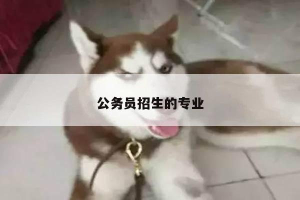 公务员招生的专业