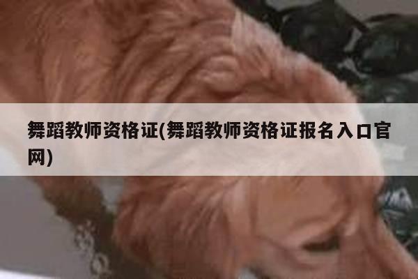 舞蹈教师资格证(舞蹈教师资格证报名入口官网)