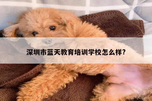 深圳市蓝天教育培训学校怎么样?
