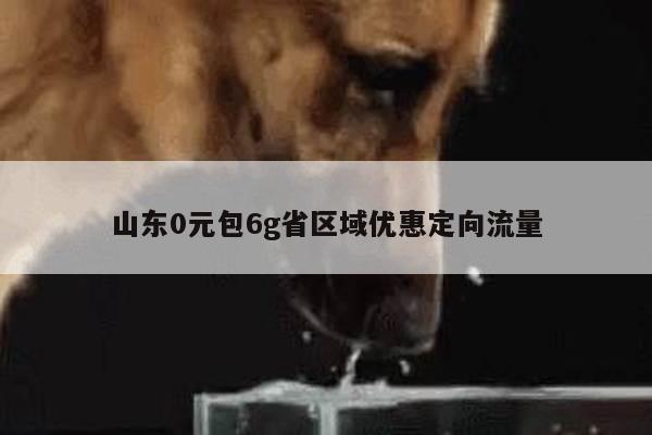 山东0元包6g省区域优惠定向流量