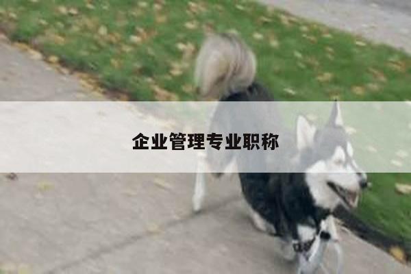 企业管理专业职称