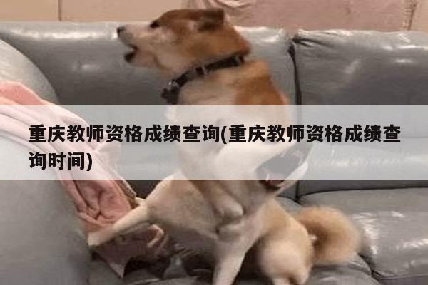 重庆教师资格成绩查询(重庆教师资格成绩查询时间)
