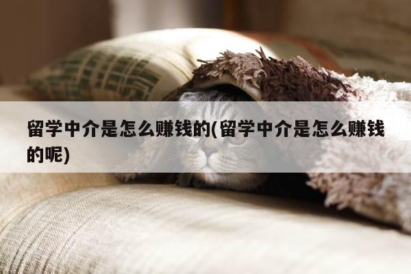 留学中介是怎么赚钱的(留学中介是怎么赚钱的呢)