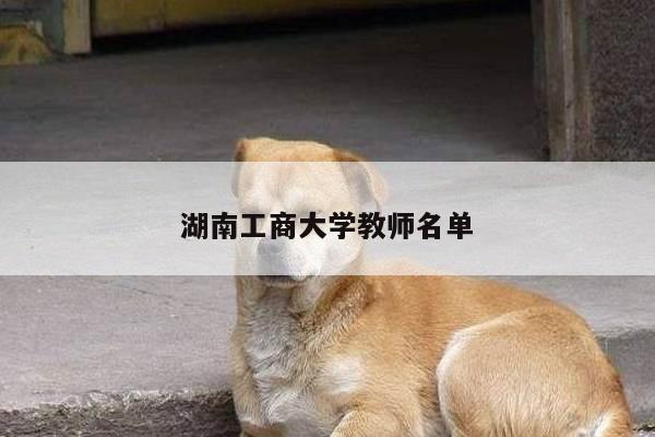 湖南工商大学教师名单