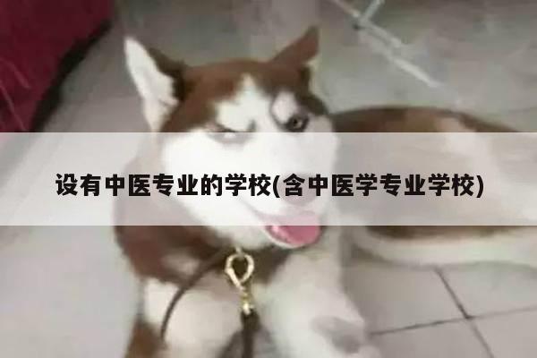 设有中医专业的学校(含中医学专业学校)
