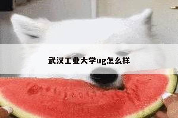 武汉工业大学ug怎么样