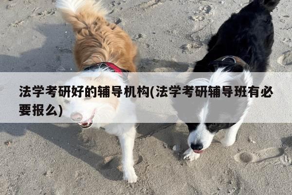 法学考研好的辅导机构(法学考研辅导班有必要报么)