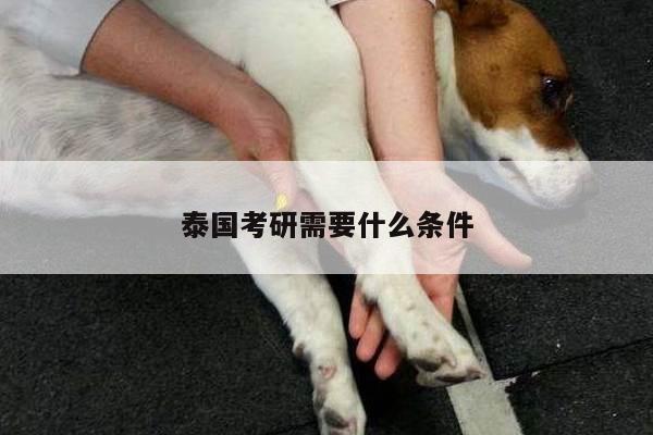 泰国考研需要什么条件