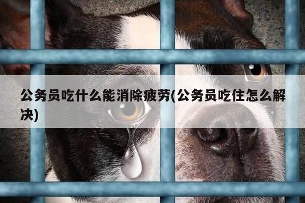 公务员吃什么能消除疲劳(公务员吃住怎么解决)