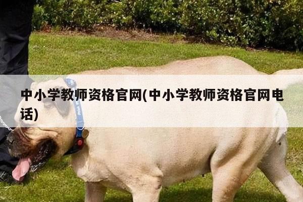中小学教师资格官网(中小学教师资格官网电话)