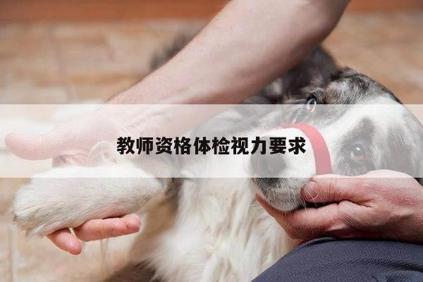 教师资格体检视力要求