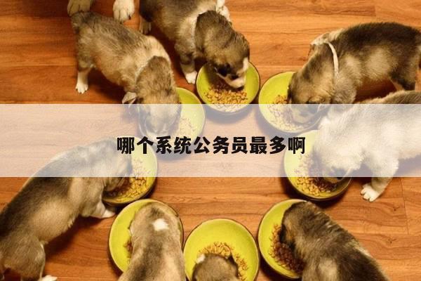 哪个系统公务员最多啊
