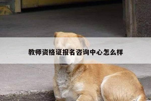 教师资格证报名咨询中心怎么样