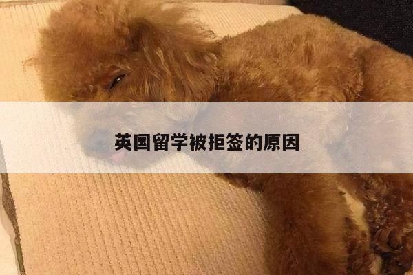 英国留学被拒签的原因