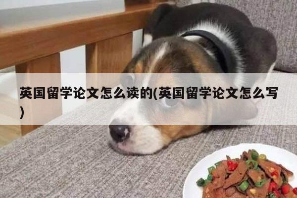 英国留学论文怎么读的(英国留学论文怎么写)