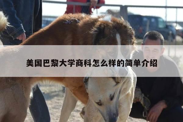 美国巴黎大学商科怎么样的简单介绍