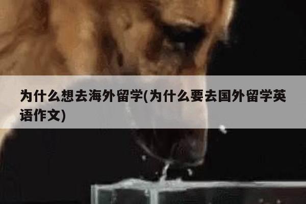 为什么想去海外留学(为什么要去国外留学英语作文)