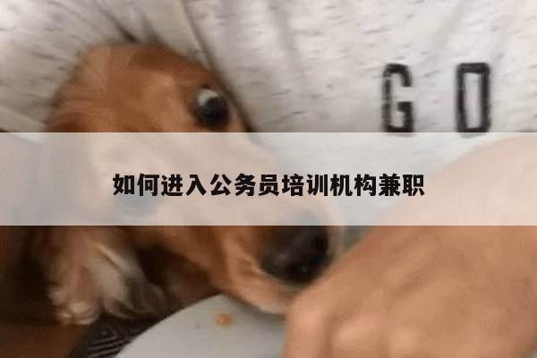 如何进入公务员培训机构兼职