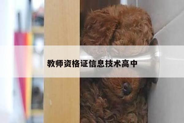 教师资格证信息技术高中