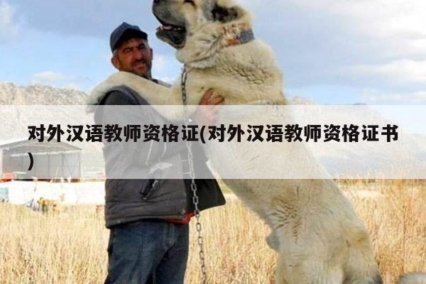 对外汉语教师资格证(对外汉语教师资格证书)