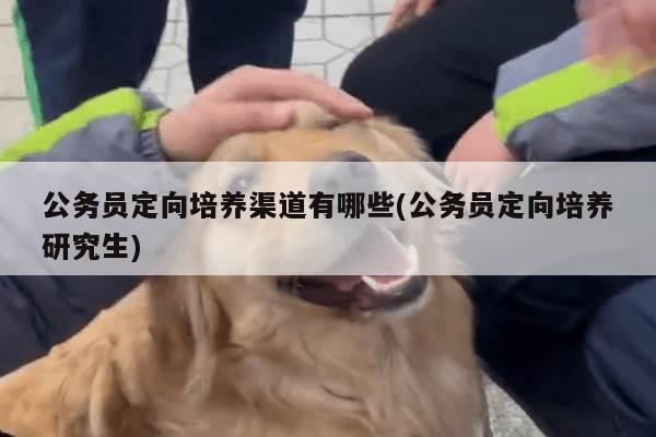 公务员定向培养渠道有哪些(公务员定向培养研究生)