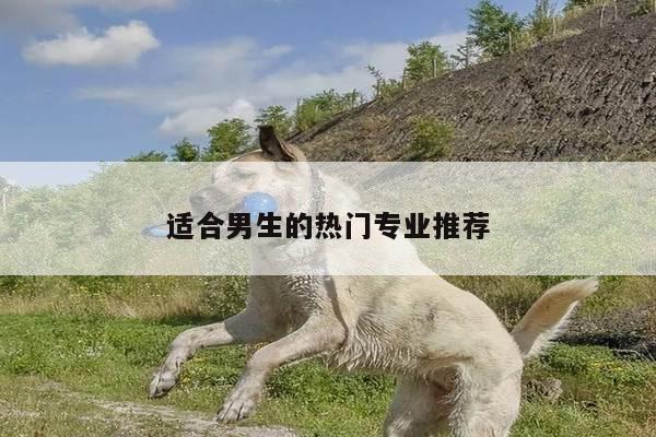 适合男生的热门专业推荐