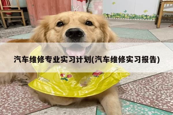 汽车维修专业实习计划(汽车维修实习报告)