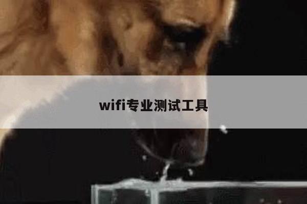 wifi专业测试工具