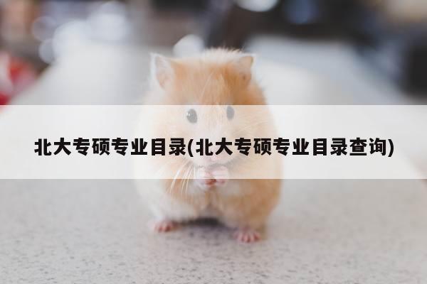 北大专硕专业目录(北大专硕专业目录查询)