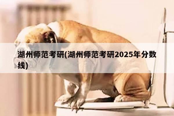 湖州师范考研(湖州师范考研2025年分数线)