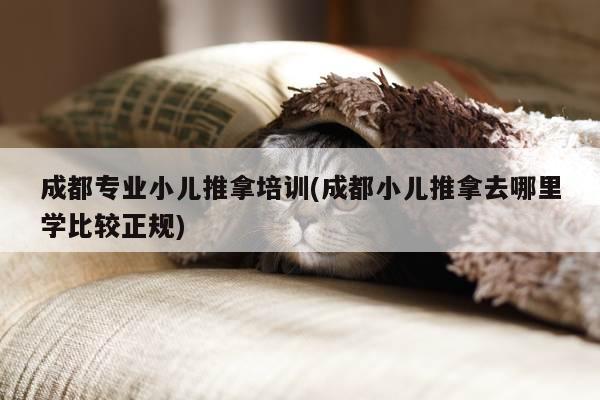 成都专业小儿推拿培训(成都小儿推拿去哪里学比较正规)
