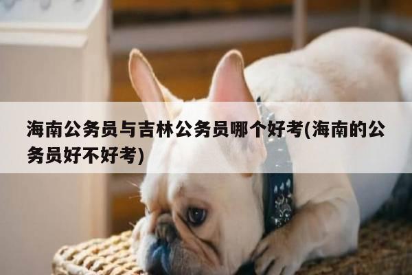 海南公务员与吉林公务员哪个好考(海南的公务员好不好考)