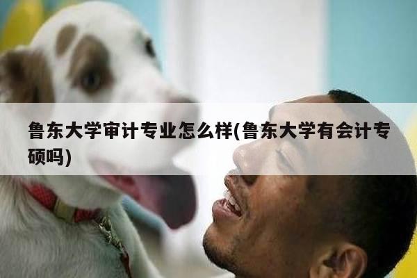 鲁东大学审计专业怎么样(鲁东大学有会计专硕吗)
