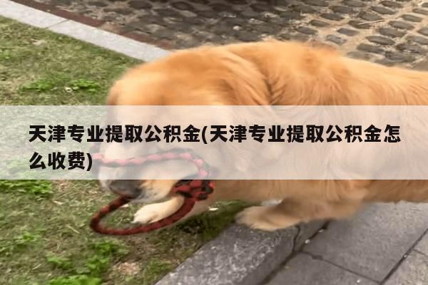 天津专业提取公积金(天津专业提取公积金怎么收费)