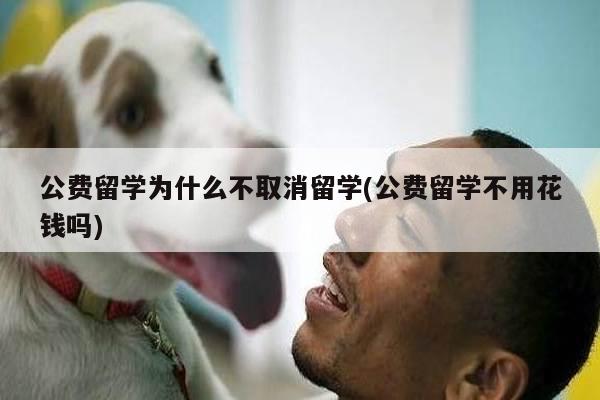 公费留学为什么不取消留学(公费留学不用花钱吗)