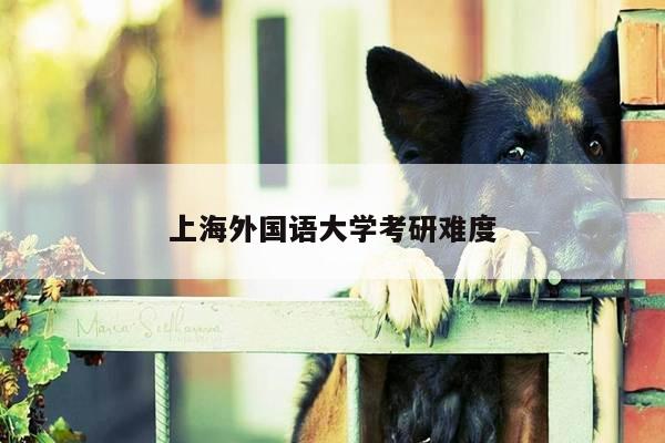 上海外国语大学考研难度