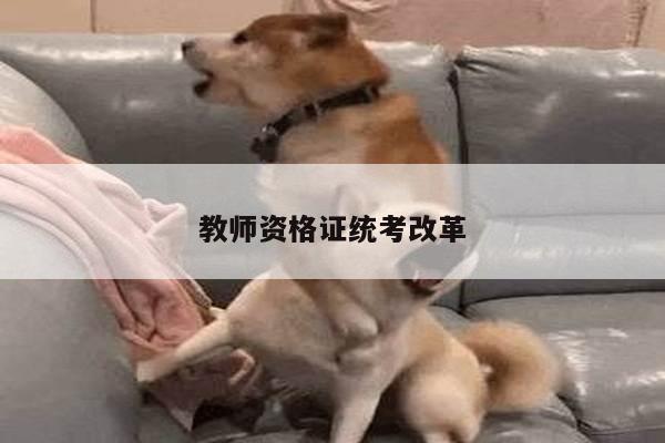 教师资格证统考改革