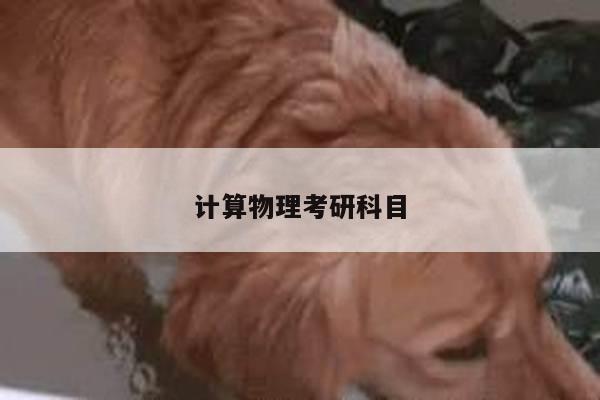 计算物理考研科目